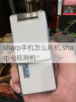 sharp手机怎么刷机,sharp电视刷机