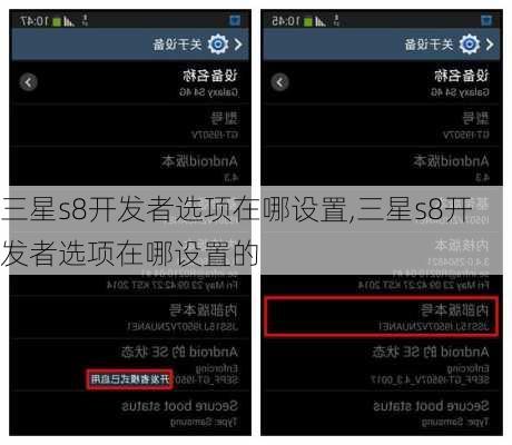 三星s8开发者选项在哪设置,三星s8开发者选项在哪设置的