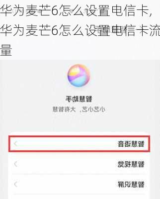 华为麦芒6怎么设置电信卡,华为麦芒6怎么设置电信卡流量