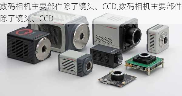 数码相机主要部件除了镜头、CCD,数码相机主要部件除了镜头、CCD