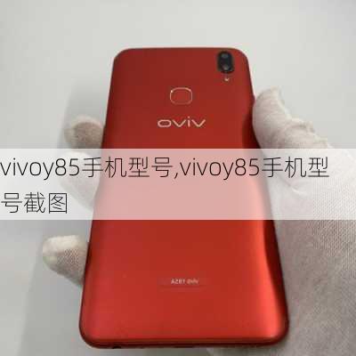 vivoy85手机型号,vivoy85手机型号截图