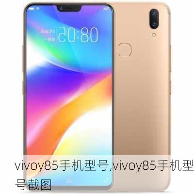 vivoy85手机型号,vivoy85手机型号截图