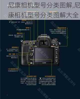 尼康相机型号分类图解,尼康相机型号分类图解大全