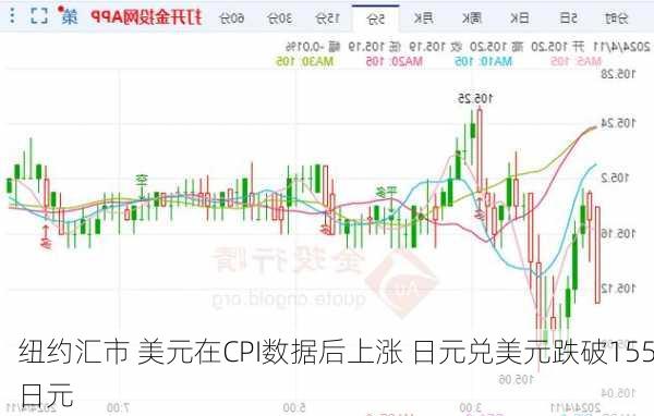 纽约汇市 美元在CPI数据后上涨 日元兑美元跌破155日元