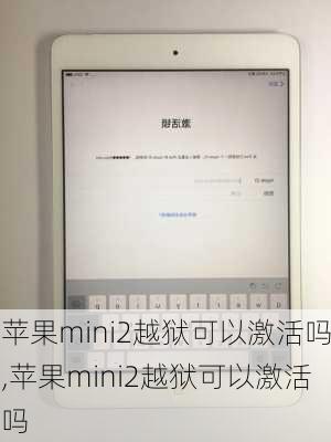 苹果mini2越狱可以激活吗,苹果mini2越狱可以激活吗