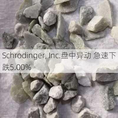 Schrodinger, Inc.盘中异动 急速下跌5.00%