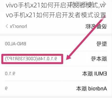 vivo手机x21如何开启开发者模式,vivo手机x21如何开启开发者模式设置