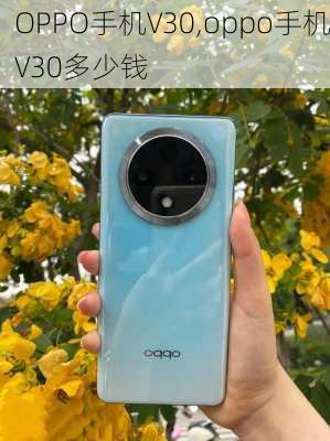 OPPO手机V30,oppo手机V30多少钱