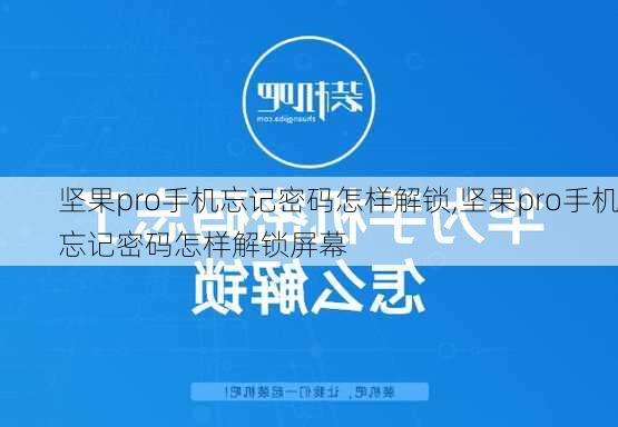 坚果pro手机忘记密码怎样解锁,坚果pro手机忘记密码怎样解锁屏幕