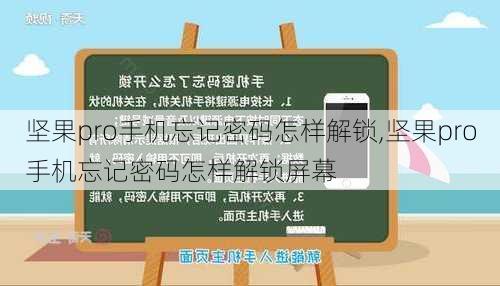 坚果pro手机忘记密码怎样解锁,坚果pro手机忘记密码怎样解锁屏幕