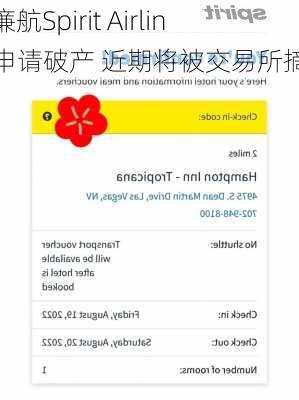 美廉航Spirit Airlines申请破产 近期将被交易所摘牌