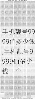 手机靓号9999值多少钱,手机靓号9999值多少钱一个