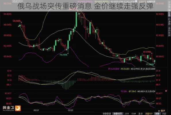 俄乌战场突传重磅消息 金价继续走强反弹