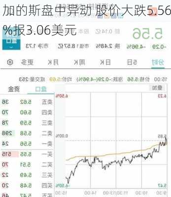 加的斯盘中异动 股价大跌5.56%报3.06美元