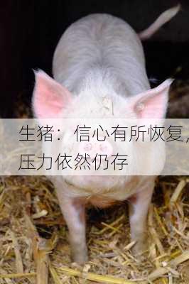 生猪：信心有所恢复，压力依然仍存