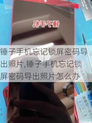 锤子手机忘记锁屏密码导出照片,锤子手机忘记锁屏密码导出照片怎么办