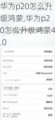 华为p20怎么升级鸿蒙,华为p20怎么升级鸿蒙4.0