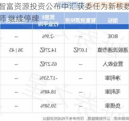 智富资源投资公布中汇获委任为新核数师 继续停牌