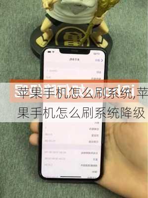 苹果手机怎么刷系统,苹果手机怎么刷系统降级