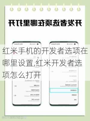红米手机的开发者选项在哪里设置,红米开发者选项怎么打开