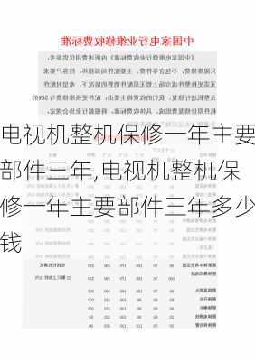 电视机整机保修一年主要部件三年,电视机整机保修一年主要部件三年多少钱