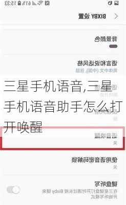 三星手机语音,三星手机语音助手怎么打开唤醒