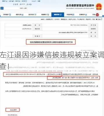 左江退因涉嫌信披违规被立案调查！