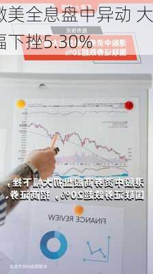 微美全息盘中异动 大幅下挫5.30%