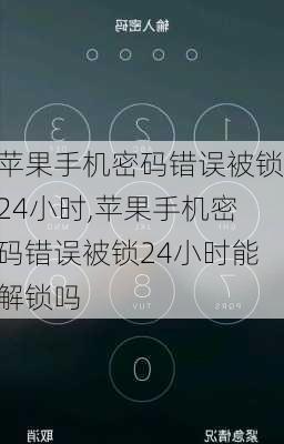 苹果手机密码错误被锁24小时,苹果手机密码错误被锁24小时能解锁吗