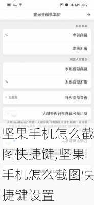 坚果手机怎么截图快捷键,坚果手机怎么截图快捷键设置