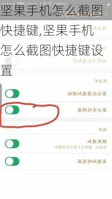 坚果手机怎么截图快捷键,坚果手机怎么截图快捷键设置