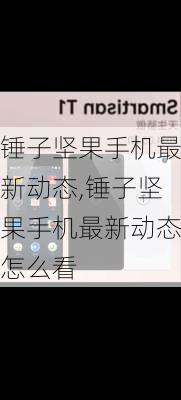 锤子坚果手机最新动态,锤子坚果手机最新动态怎么看