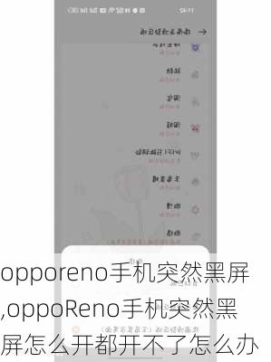 opporeno手机突然黑屏,oppoReno手机突然黑屏怎么开都开不了怎么办