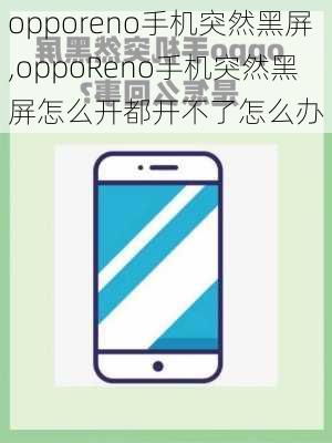 opporeno手机突然黑屏,oppoReno手机突然黑屏怎么开都开不了怎么办