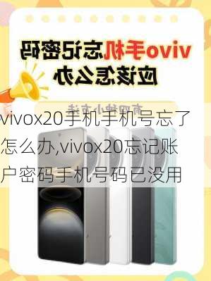 vivox20手机手机号忘了怎么办,vivox20忘记账户密码手机号码已没用