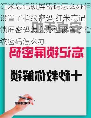 红米忘记锁屏密码怎么办但设置了指纹密码,红米忘记锁屏密码怎么办但设置了指纹密码怎么办