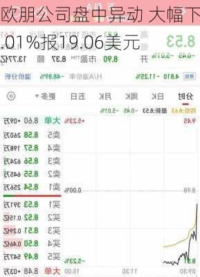 欧朋公司盘中异动 大幅下挫5.01%报19.06美元